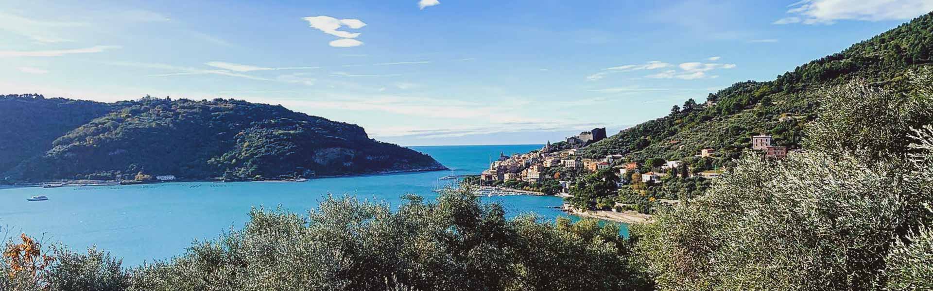 Cosa fare e vedere